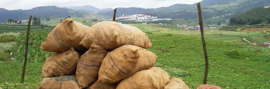 Saving-Water-From-Field-to-Fork