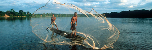 CAR & Cameroon