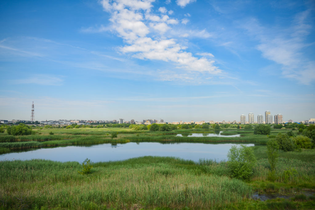 Residential buildings and wild delta Vacaresti in south-eastern Bucharest