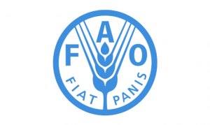 Food and Agriculture Organization of the United Nations (FAO) logo