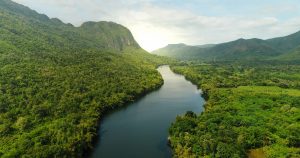 A channel of water through lush green landscape, with a calming background.