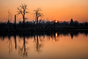 trees during a beautiful red sunset. Slovakia (Photo: portvis)