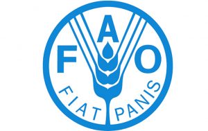 FAO logo