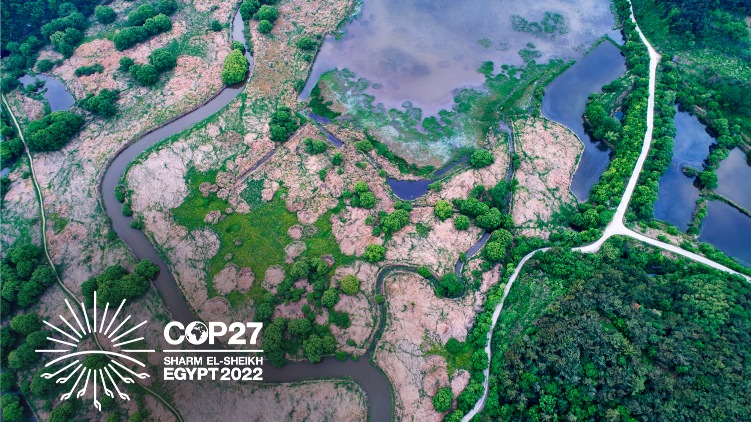 Aerial view of Upo Wetland near Changnyeong-gun, Korea.