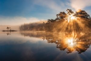 sun setting behind a tree reflecting on water