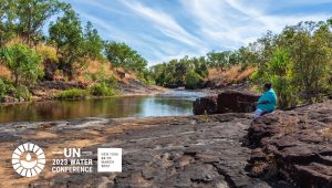 Meandering river with a person sitting on the bank