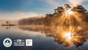 Peaceful body of water with trees in the background, on a foggy sunset