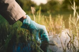 Collecting a water sample from the river by hand