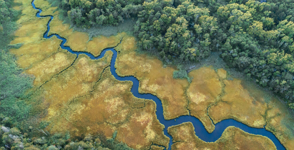 Meandering river areal view surrounded by lush green forest